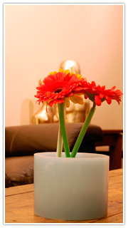 Velas Decorativas