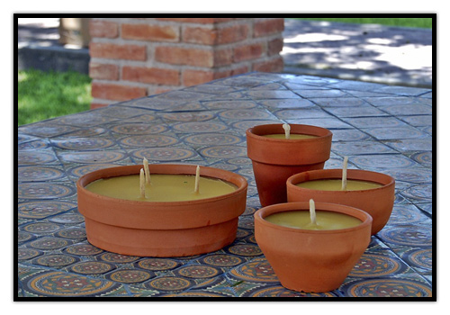 Velas de Citronella